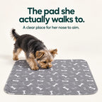 The pad she actually walks to — a clear place for her nose to aim